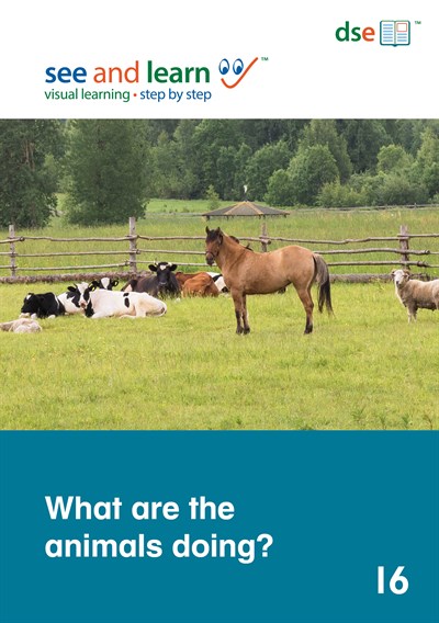 Image of the cover of a book in See and Learn Sentences 1