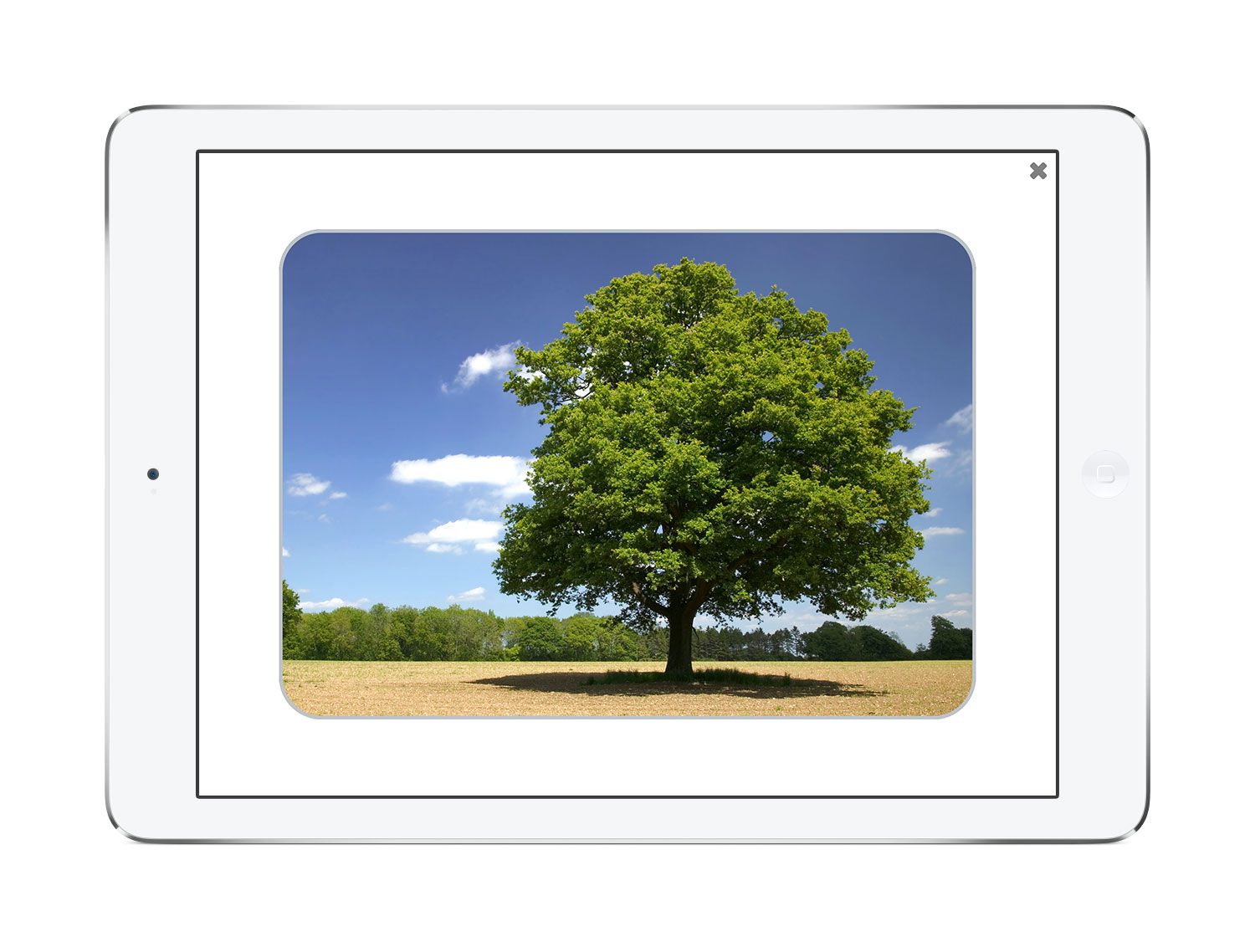 Picture of iPad edition of See and Learn Vocabulary 2