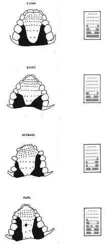 Fig1.3.gif (22200 bytes)